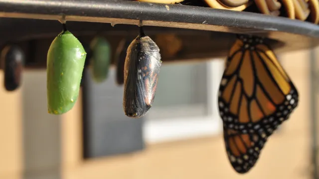 Soms is het goed om je mening te herzien, zo leert dit verhaal...