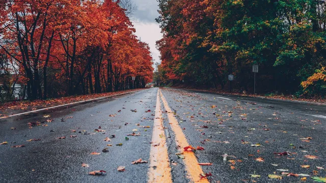 Lazarus staat op | Niet moe of uitgeput.
