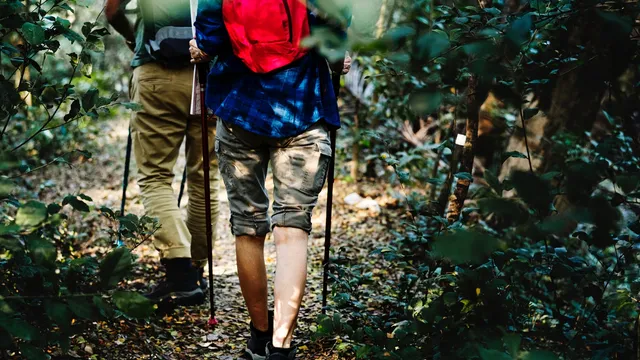 Stefan Paas: ‘Ik zoek een weg die bijdraagt aan een vruchtbare wereld én tegelijk aanbidding is’.
