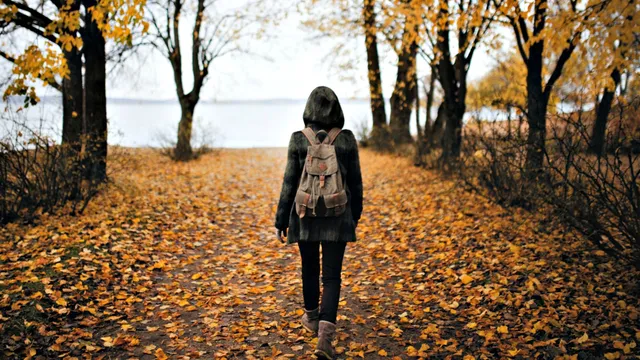 Lazarus staat op | Pay it forward.