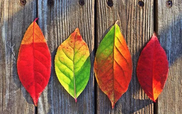 Het moet altijd anders – waarom nou?.