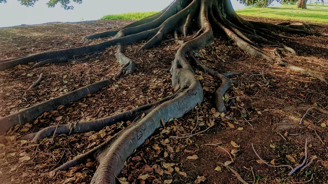 Lazarus staat op | We weten genoeg.
