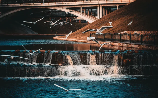 Het is een opdracht.