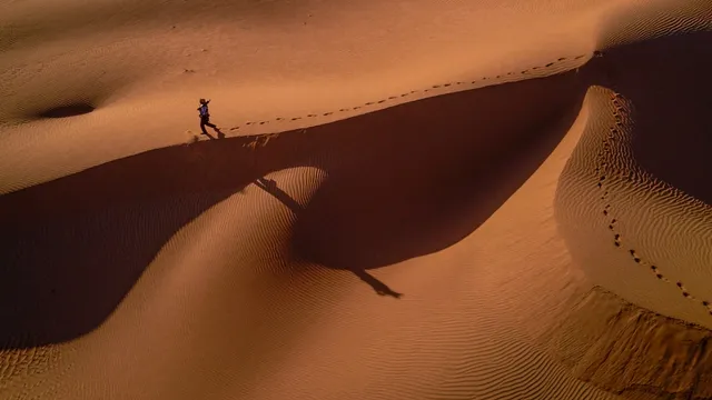 Lazarus staat op | Winnen van God.