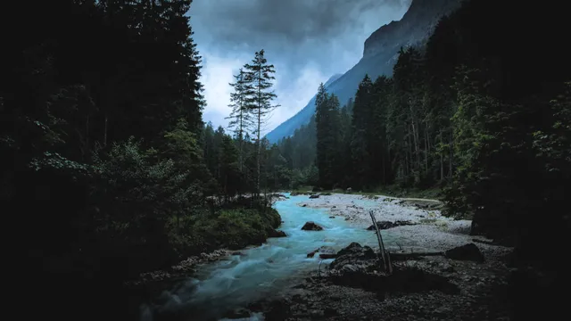Lazarus staat op | Nooit meer honger.