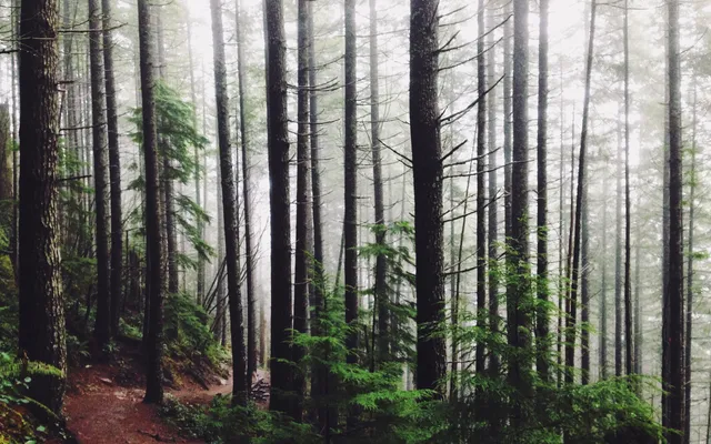 Het is besmettelijk.